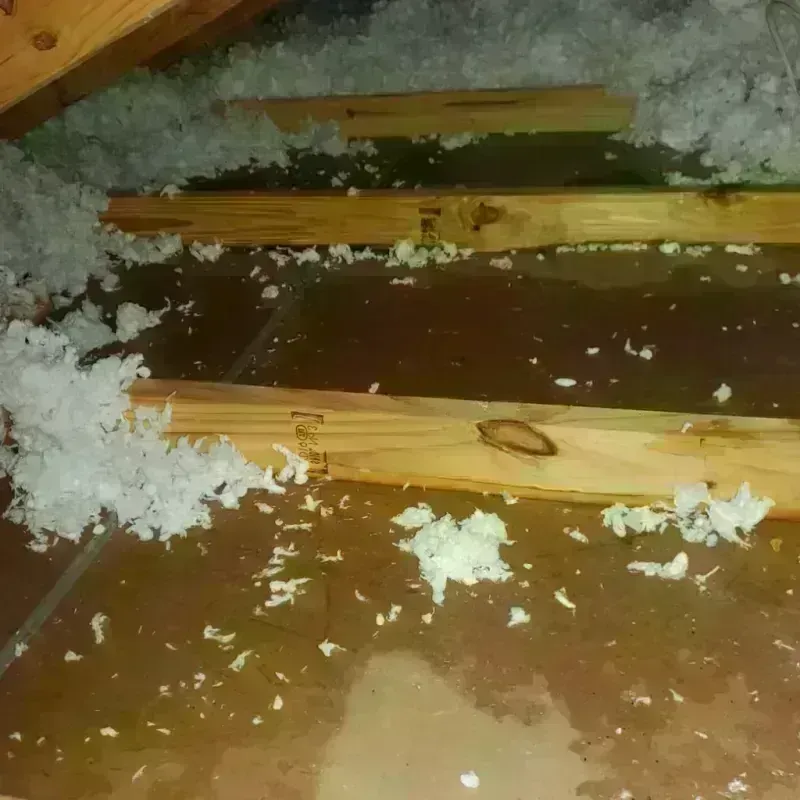 Attic Water Damage in Nicholson, MS