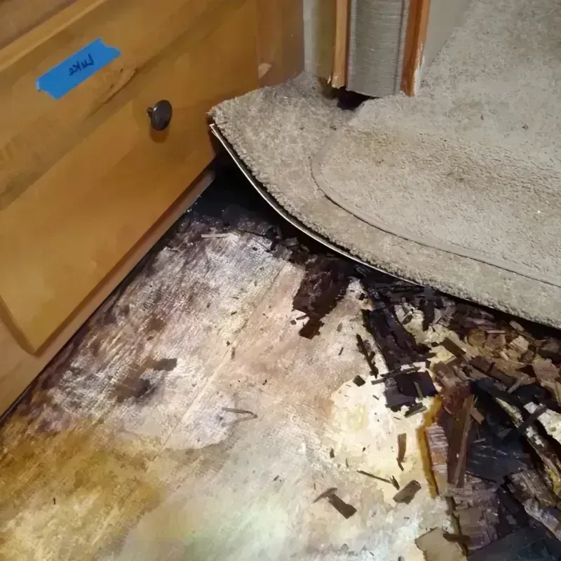 Wood Floor Water Damage in Nicholson, MS